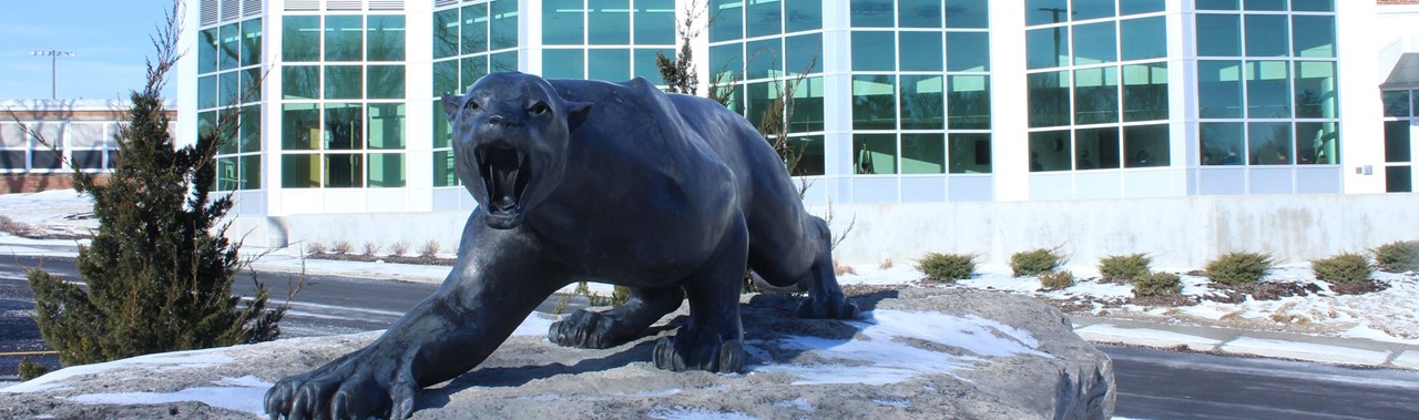 Cat Statue in front of the performing arts center